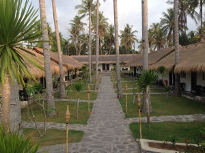 Habitaciones y jardín